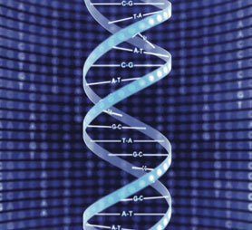 Έλικας DNA